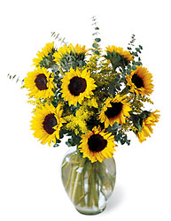 Sunflower Bouquet -A local Pittsburgh florist for flowers in Pittsburgh. PA